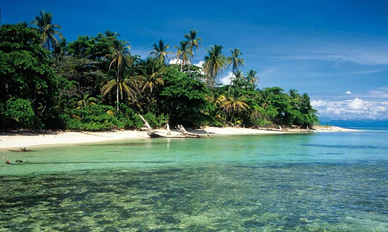 Image showcasing The Future of Sustainable Luxury, Eco-Lodging, and Regenerative Tourism